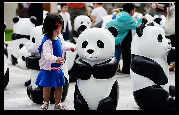 Exposición de 'Pandas' para concienciar sobre la protección del medio ambiente