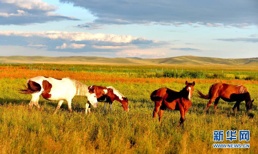 Paisaje hermoso de China en las praderas de Hulun Buir 