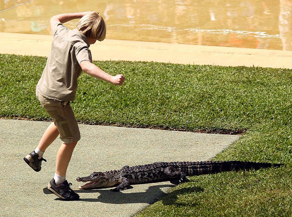 Un ni?o australiano de 10 a?os se enfrenta con un cocodrilo