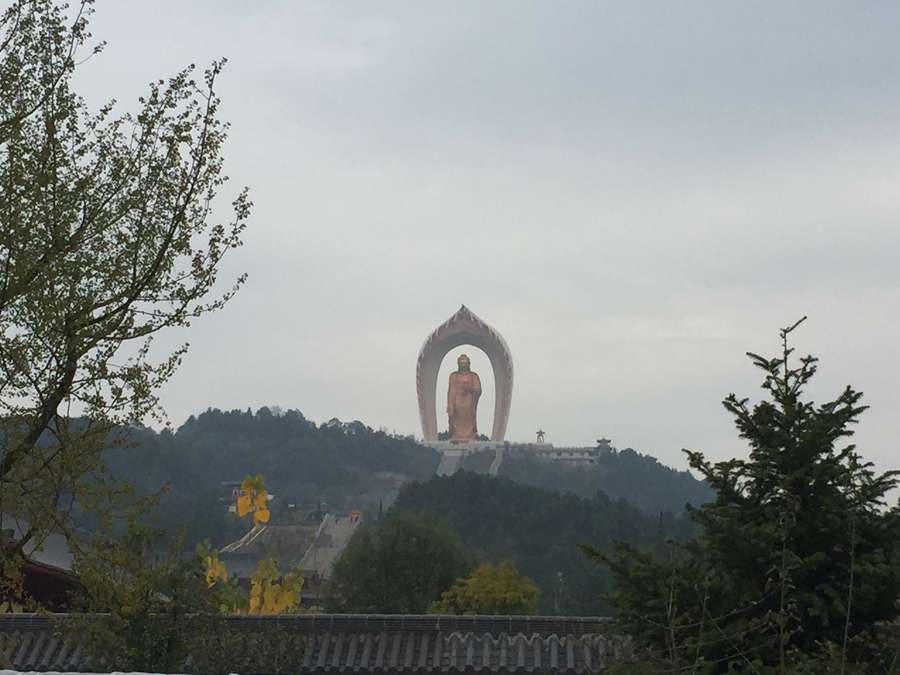 Periodistas extranjeros visitan el Templo Donglin con la estatua de Buda más grande del mundo 5