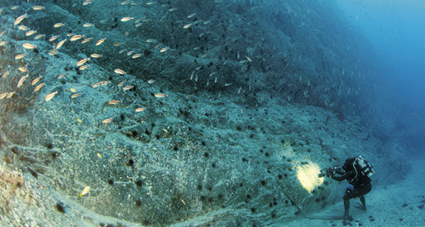 Descubren un mundo de biodiversidad en diminutas criaturas oceánicas