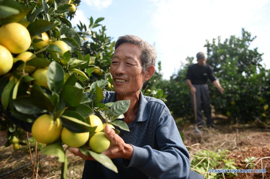 Alivio de pobreza en Ganzhou, Jiangxi