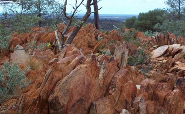 Hallan rastros de posible vida antes de la Tierra