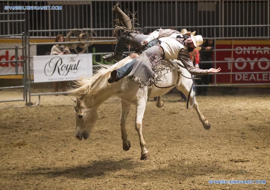 Competición Real de Caballo 2015 en Toronto, Canadá