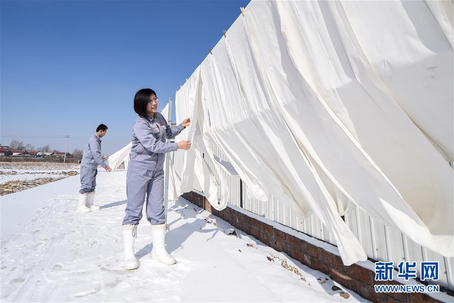 Bu ata una tela blanca utilizada para hacer cuajada de legumbres, el 23 de febrero de 2016. [Foto/Xinhua]