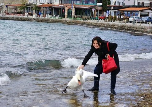 Mujer mata un cisne por hacerse un 