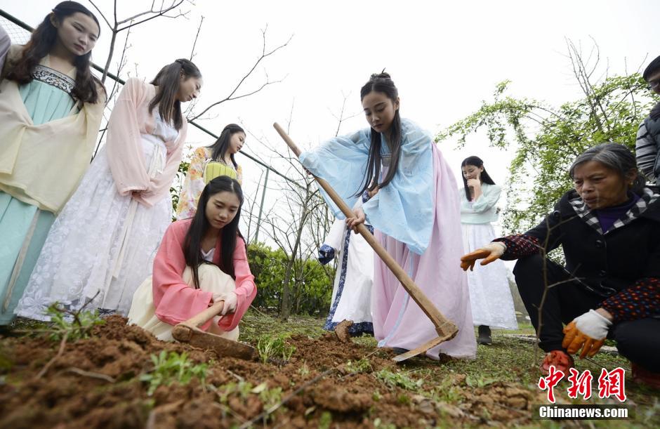 Estudiantes de Hunan cultivan plantas medicinales vestidas con trajes Han