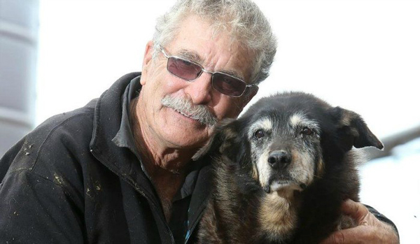 Muere el perro más viejo del mundo a los 30 a?os