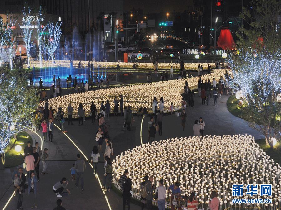 Rosas luminosas marcan la floración de Chengdu