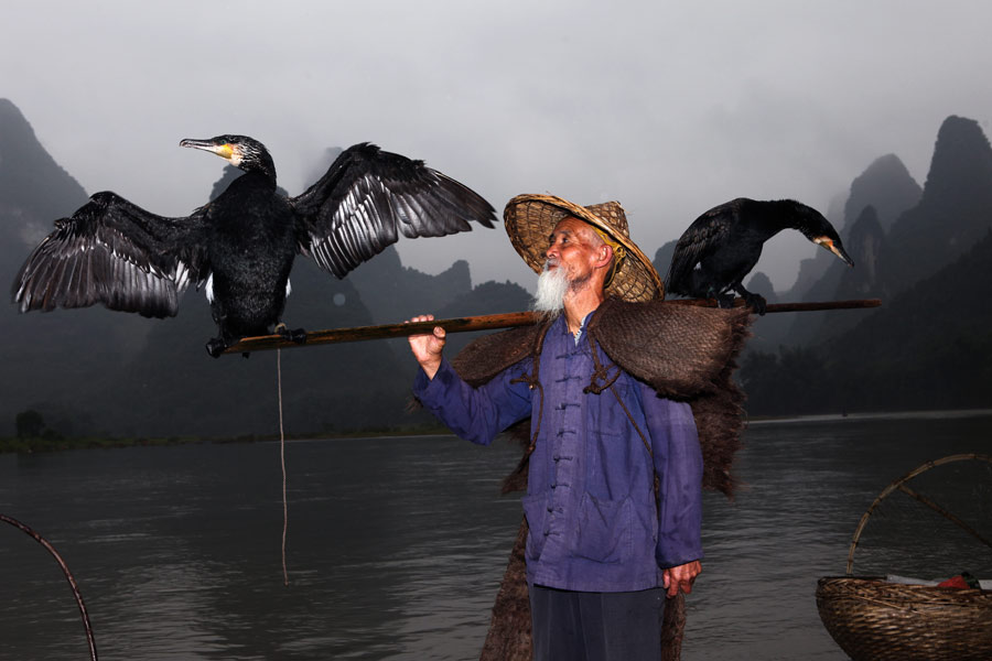 Huang Yuechuang, posa con dos cormoranes en el río Lijiang a su paso por la ciudad de Guilin, región autónoma Zhuang de Guangxi, el 23 de mayo de 2016. [Fotografía de Huo Yan/chinadaily.com.cn]