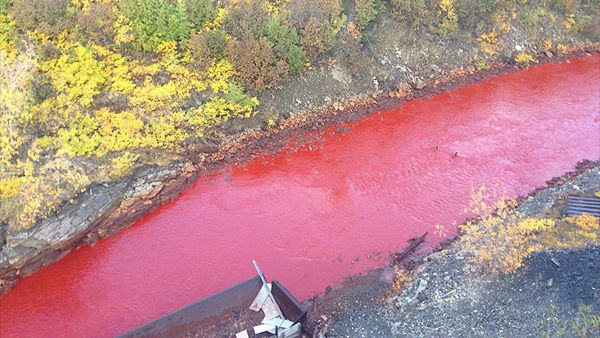 Las aguas de un río de Rusia se ti?en de rojo sangre