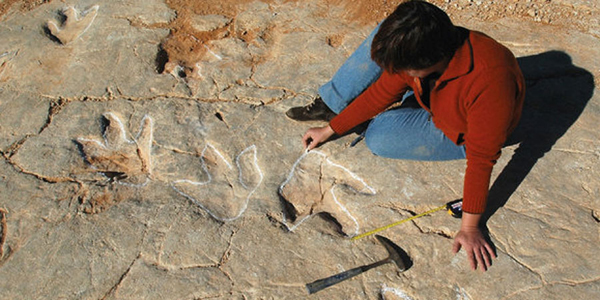 Hallan cientos de huellas de dinosaurios que comían peces