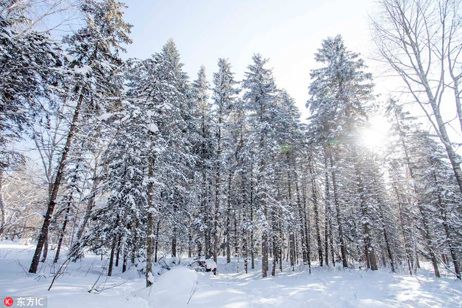 La nieve convierte pueblo de Heilongjiang en un cuento de hadas