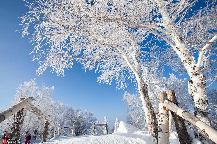 La nieve convierte pueblo de Heilongjiang en un cuento de hadas