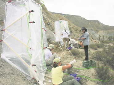 Identifican microorganismos de zonas áridas que producen enzimas