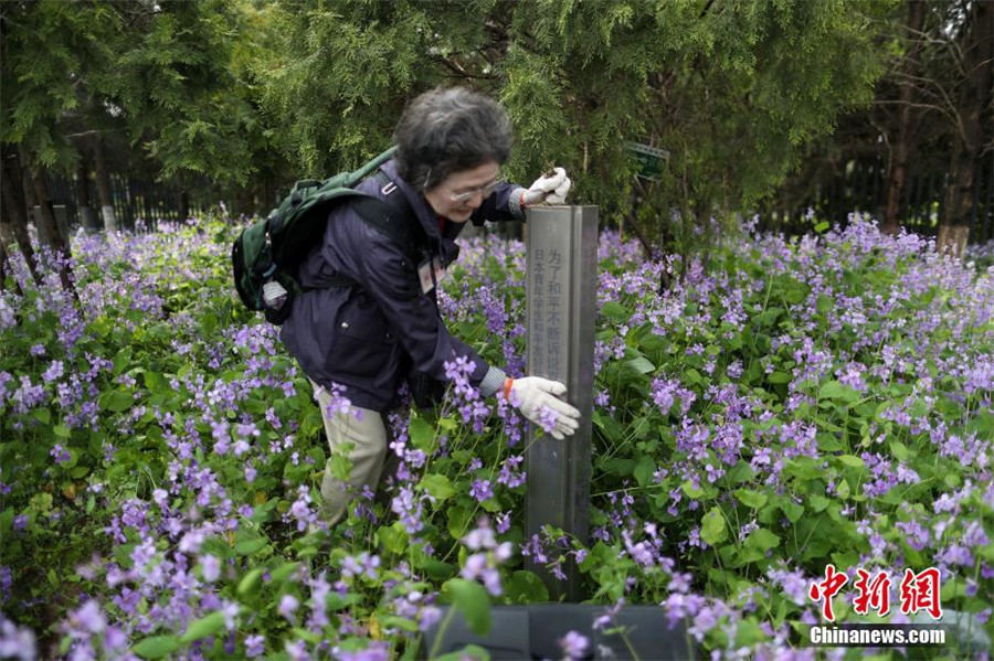 Miembros de una delegación japonesa muestran su respeto por las víctimas de la Masacre de Nanjing