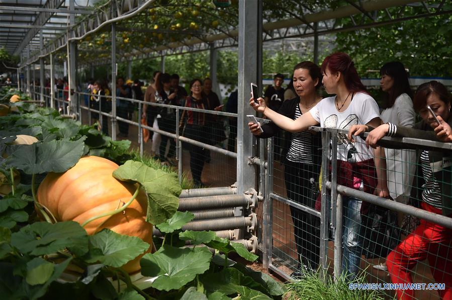 Feria Internacional de Ciencia y Tecnología de Shouguang