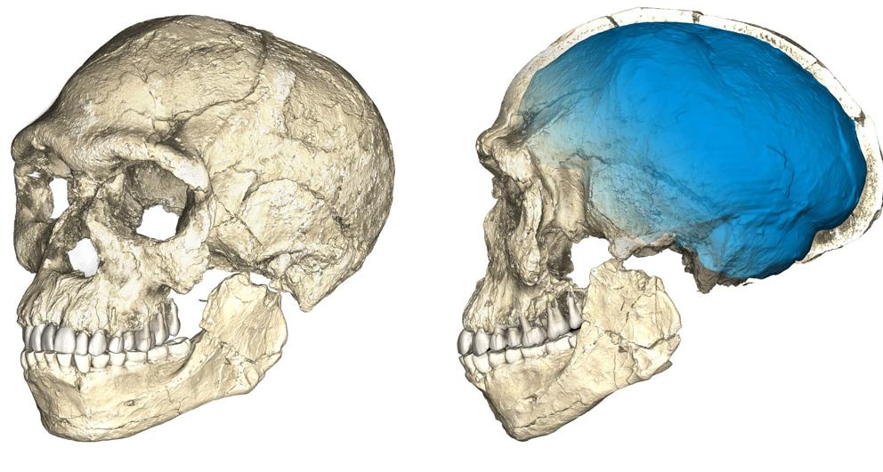 Descubren los fósiles de los primeros ‘Homo sapiens’