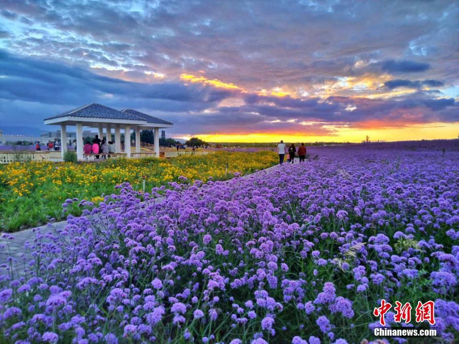 Experiencia visual espectacular en Zijinyuan