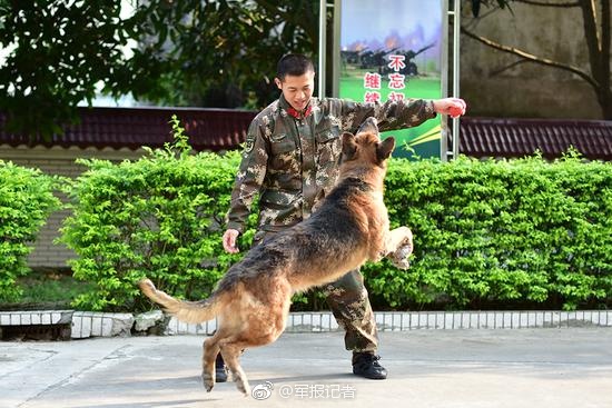 Fuerzas del orden organizan funeral para un perro policía en Guangdong