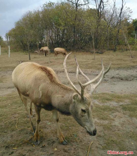 La reserva natural de milus más grande del mundo