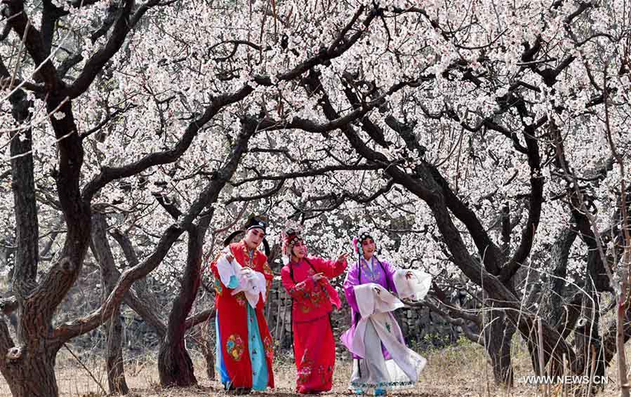 Amantes de la ópera china encarnan personajes en un jardín florecido 