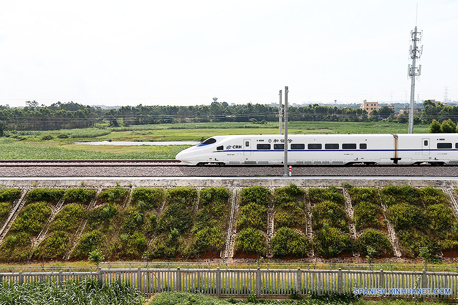 Tecnología protege hábitat de aves de ruido de tren en China