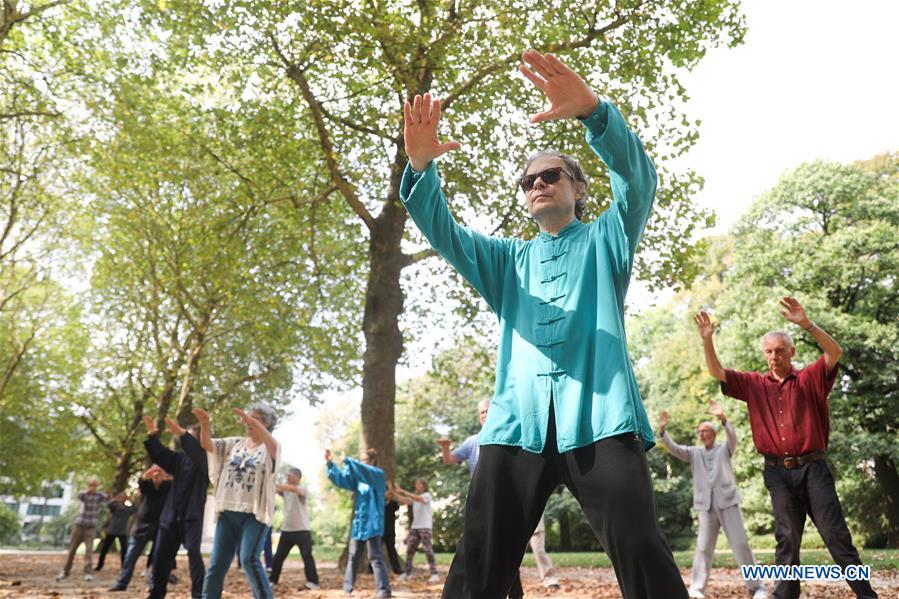 Personas aprenden Tai Chi en el Parque del Cincuentenario en Bélgica