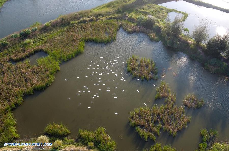 Hainan: Transforman áreas sucias en buenos lugares después de dos a?os de restauración de humedales en Haikou