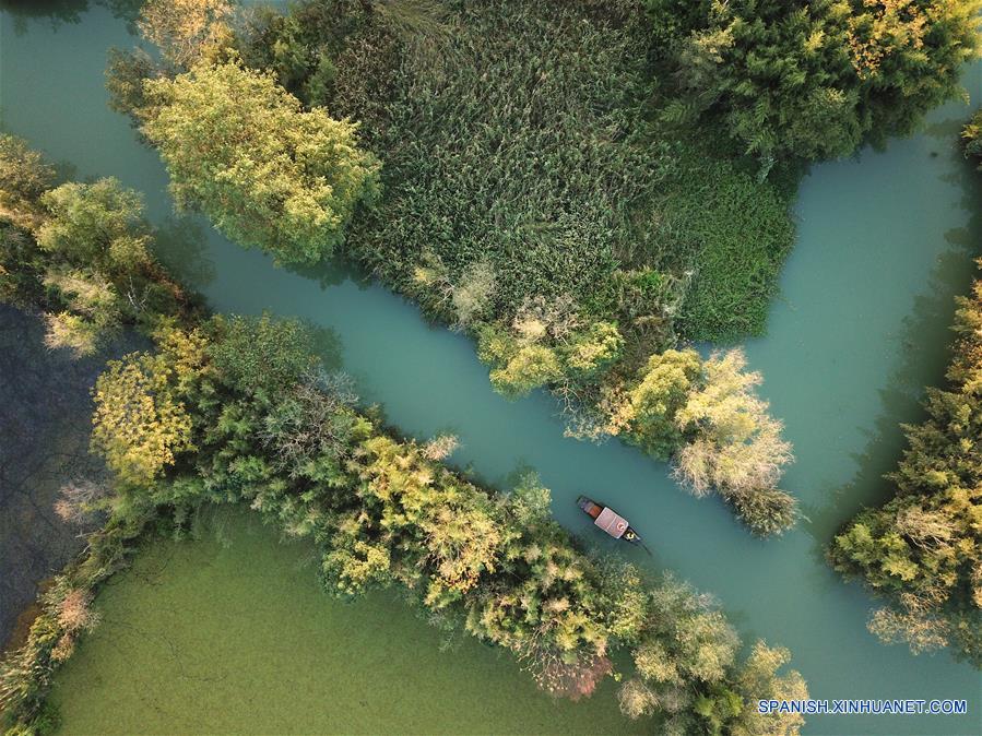 Hangzhou: Parque Nacional del Humedal Xixi