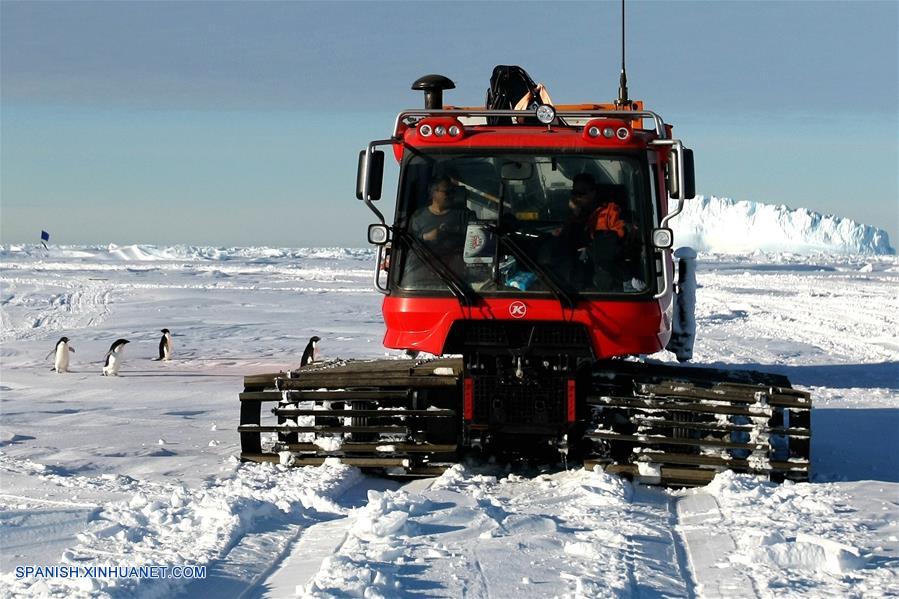 Pingüinos cerca del rompehielos de investigación Xuelong de China en la Antártida