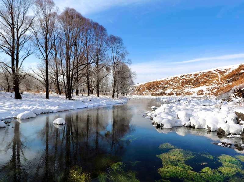 El río llamado “el río descongelado” por los lugare?os de Hinggan, Región Autónoma de Mongolia Interior, nunca se congela incluso cuando la temperatura alcanza valores entre menos 15 y 30 grados celsius. [Foto: proporcionada a chinadaily.com.cn]