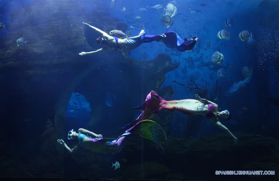 Acuario en Guiyang, Guizhou