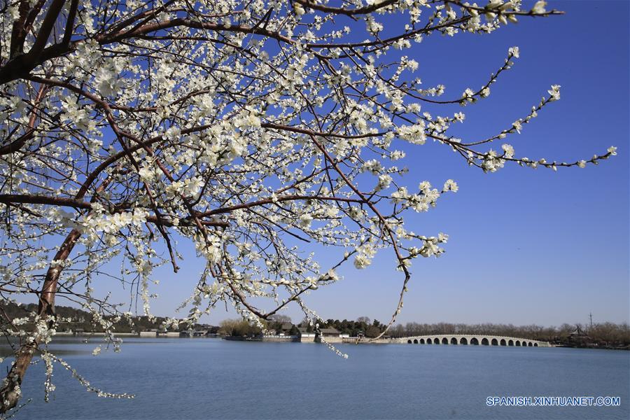 Flores en Palacio de Verano en Beijing