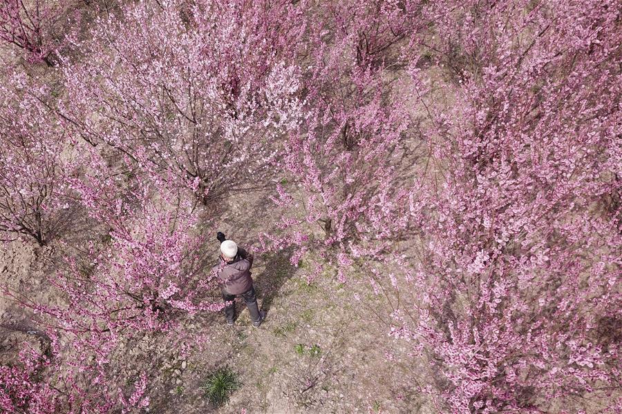 Personas disfrutan del paisaje del inicio de primavera