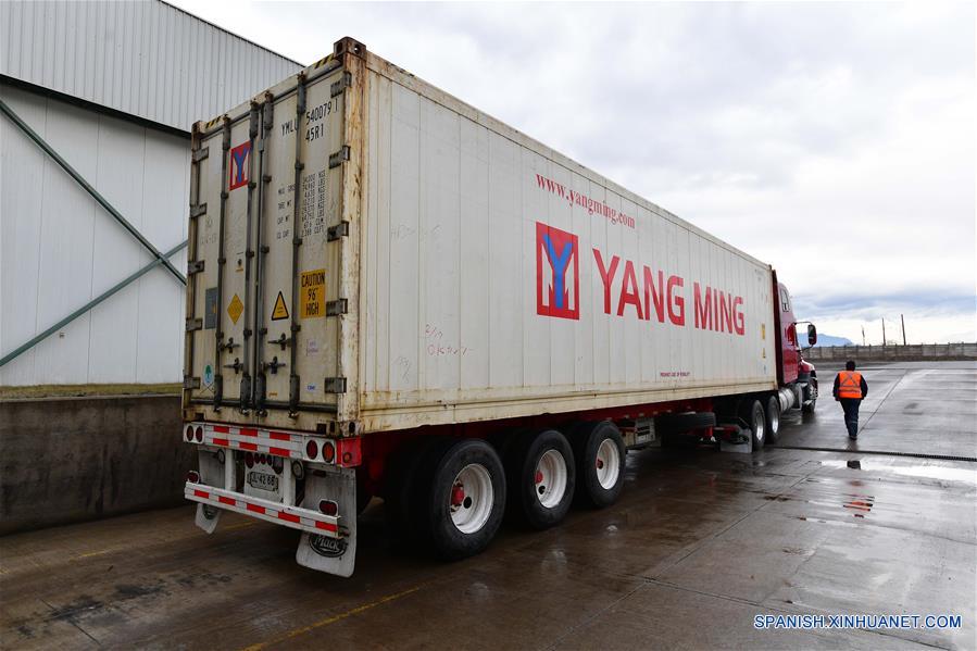 SAN FERNANDO, 14 junio, 2019 (Xinhua) -- Un empleado se prepara para conducir un camión cargado con cajas de peras, para su exportación a China, en la Planta de Procesamiento Frusan de San Fernando, en la región de O'Higgins, a unos 140 kilómetros al sur de Santiago, capital de Chile, el 14 de junio de 2019. El ministro de Agricultura de Chile, Antonio Walker, celebró el viernes los primeros envíos de cuatro tipos de peras chilenas a China. El mercado chileno ofrece cajas desde 2 kilos, exclusivas para el mercado chino, hasta de 18 kilos, para los distribuidores de frutas. (Xinhua/Jorge Villegas)