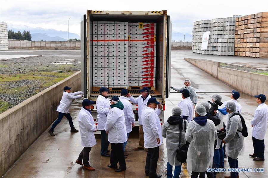 SAN FERNANDO, 14 junio, 2019 (Xinhua) -- Empleados cierran las puertas de un camión cargado con cajas de peras, para su exportación a China, en la Planta de Procesamiento Frusan de San Fernando, en la región de O'Higgins, a unos 140 kilómetros al sur de Santiago, capital de Chile, el 14 de junio de 2019. El ministro de Agricultura de Chile, Antonio Walker, celebró el viernes los primeros envíos de cuatro tipos de peras chilenas a China. El mercado chileno ofrece cajas desde 2 kilos, exclusivas para el mercado chino, hasta de 18 kilos, para los distribuidores de frutas. (Xinhua/Jorge Villegas)