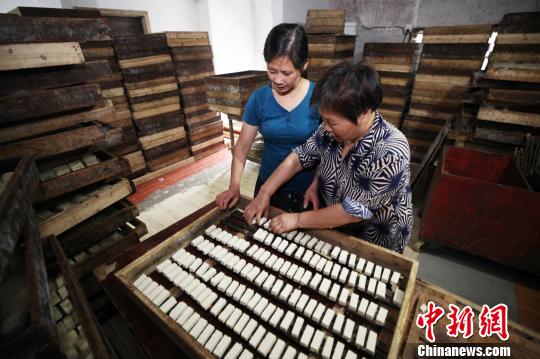 Expertas en la elaboración de tofu colocan el producto en la caja de fermentación. 