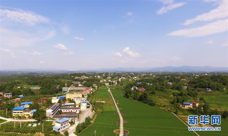 El campo de verano es tan bonito como un paisaje