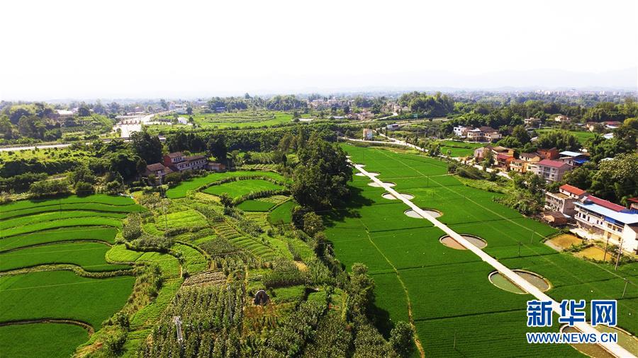 El campo de verano es tan bonito como un paisaje