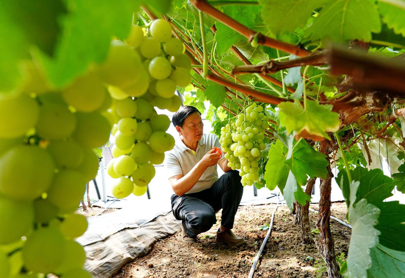 [Foto:Xinhua/Yang Shiyao]