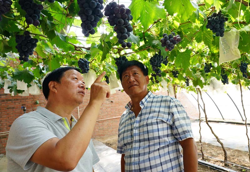 [Foto:Xinhua/Yang Shiyao]