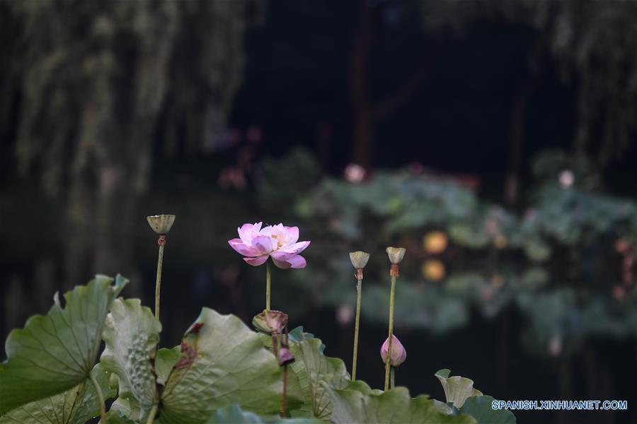 Lago Oeste en Hangzhou, Zhejiang