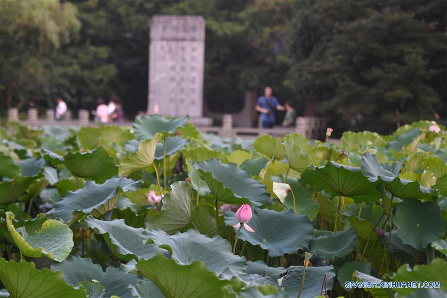 Lago Oeste en Hangzhou, Zhejiang