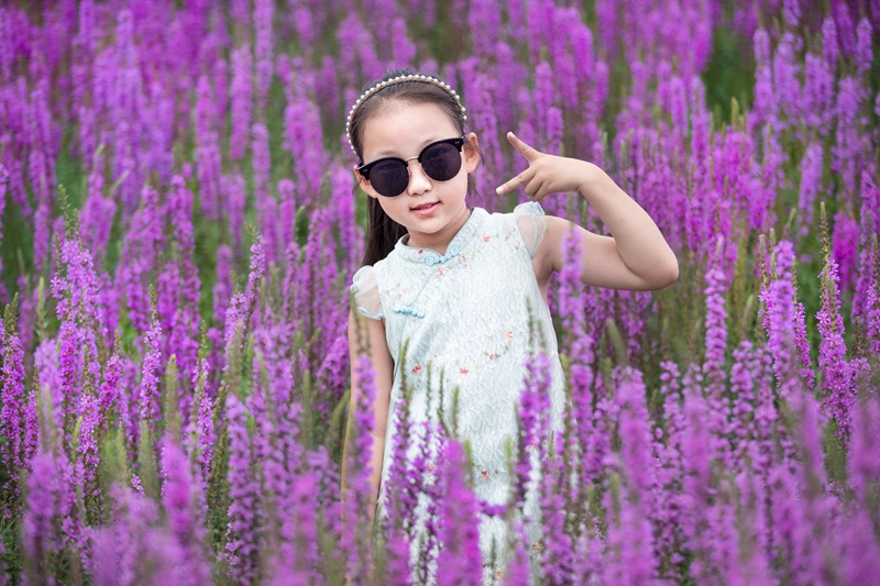 Los campos de lavanda en Mongolia Interior fascinan a los turistas con su color púrpura