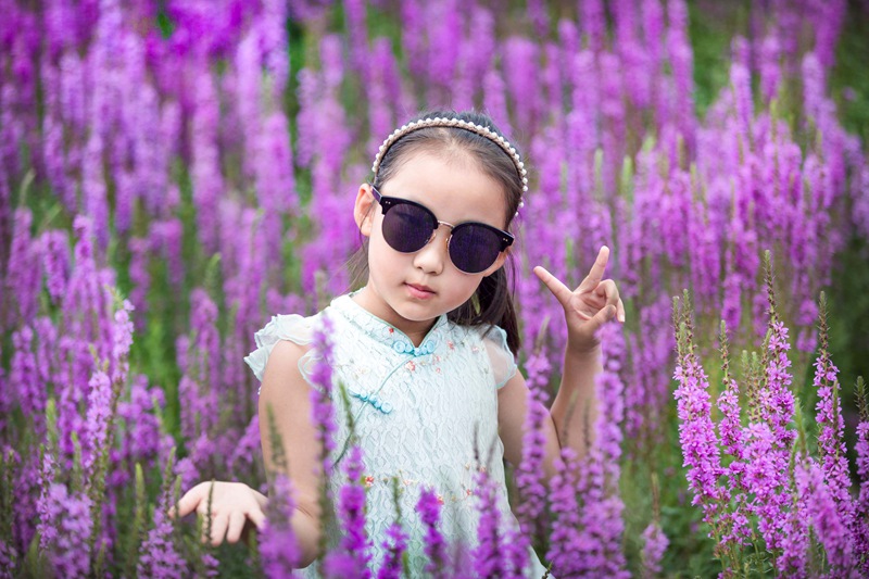 Los campos de lavanda en Mongolia Interior fascinan a los turistas con su color púrpura