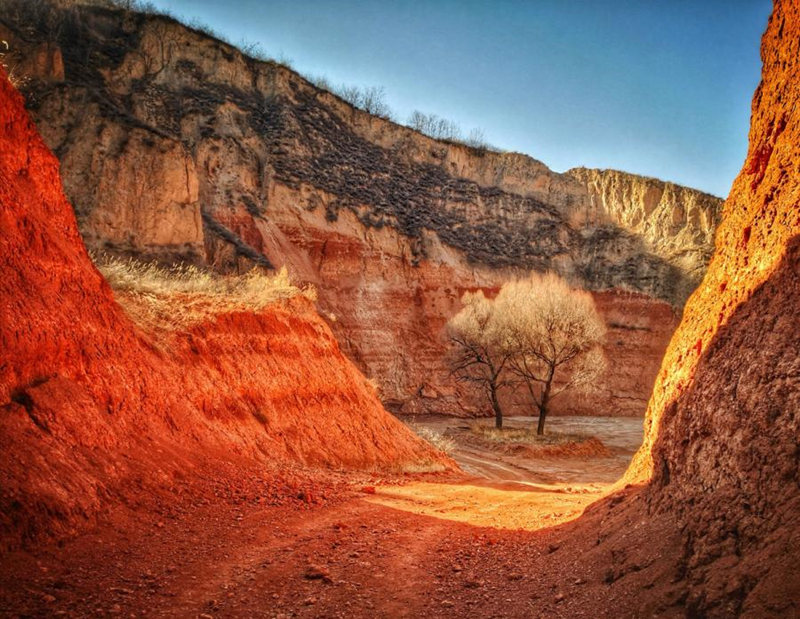 Geoparque de Tierra Roja de Heimapo, Liulin, provincia de Shanxi.  [Foto: Wang Fengyun/chinadaily.com.cn]