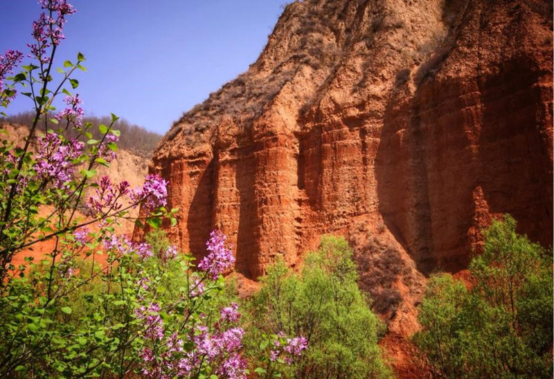 Acantilados en el Geoparque de Tierra Roja de Heimapo, Liulin, provincia de Shanxi.[Foto: Wang Fengyun/chinadaily.com.cn]