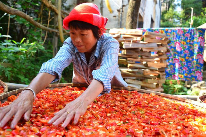 Festival Cultural en la aldea de Huangling. [Foto / Fang Huabin]