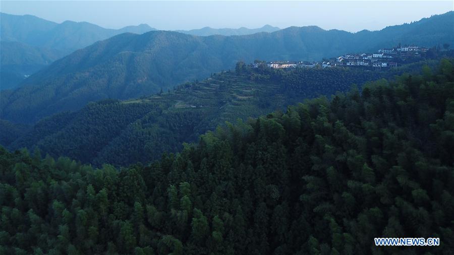 Grato amanecer en la aldea Mulihong de Anhui